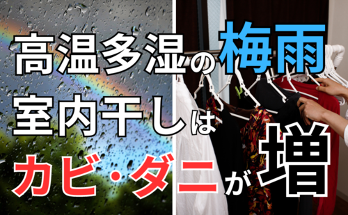 室内干しha.pngのサムネイル画像