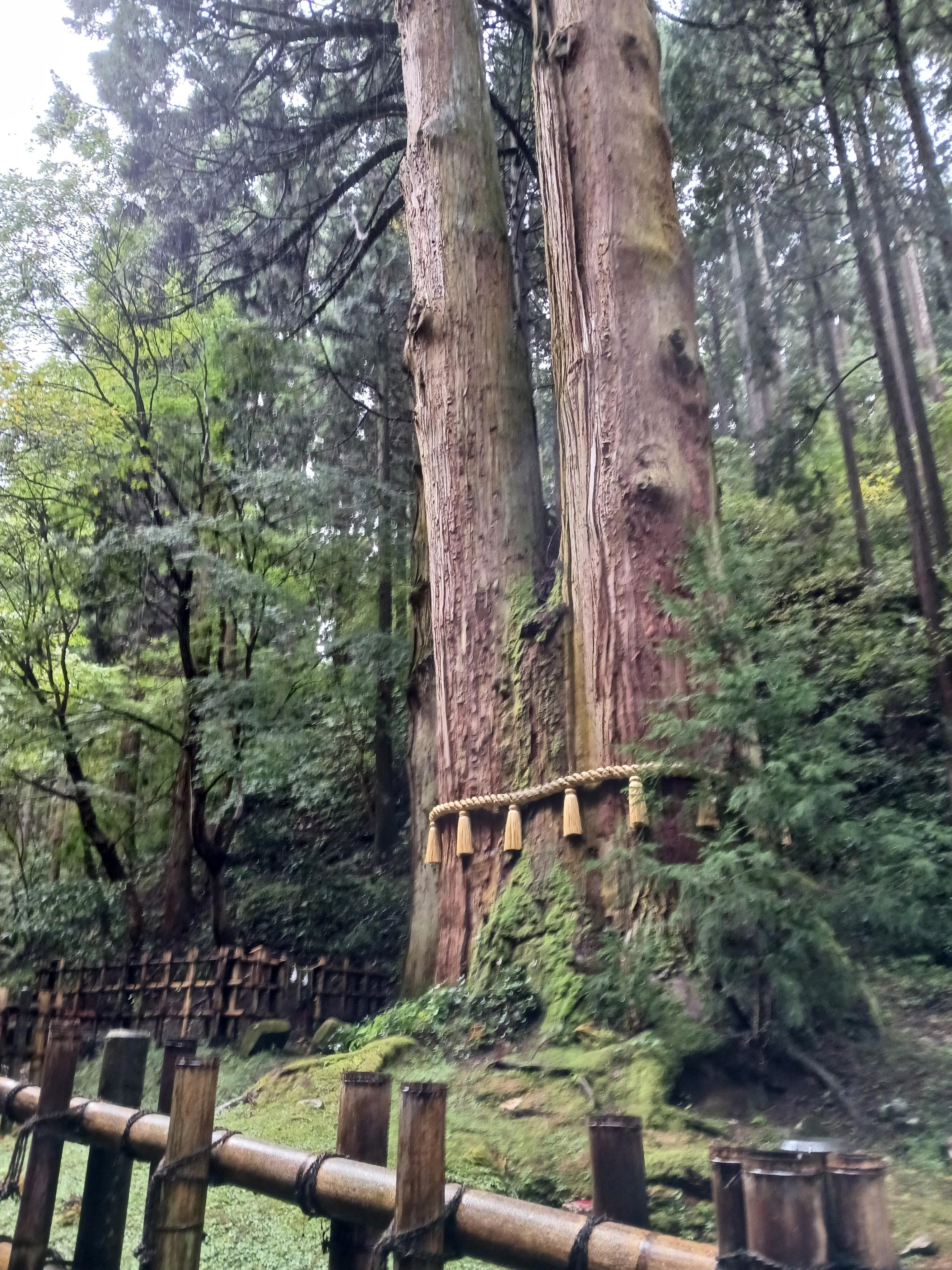 御岩神社4.jpg