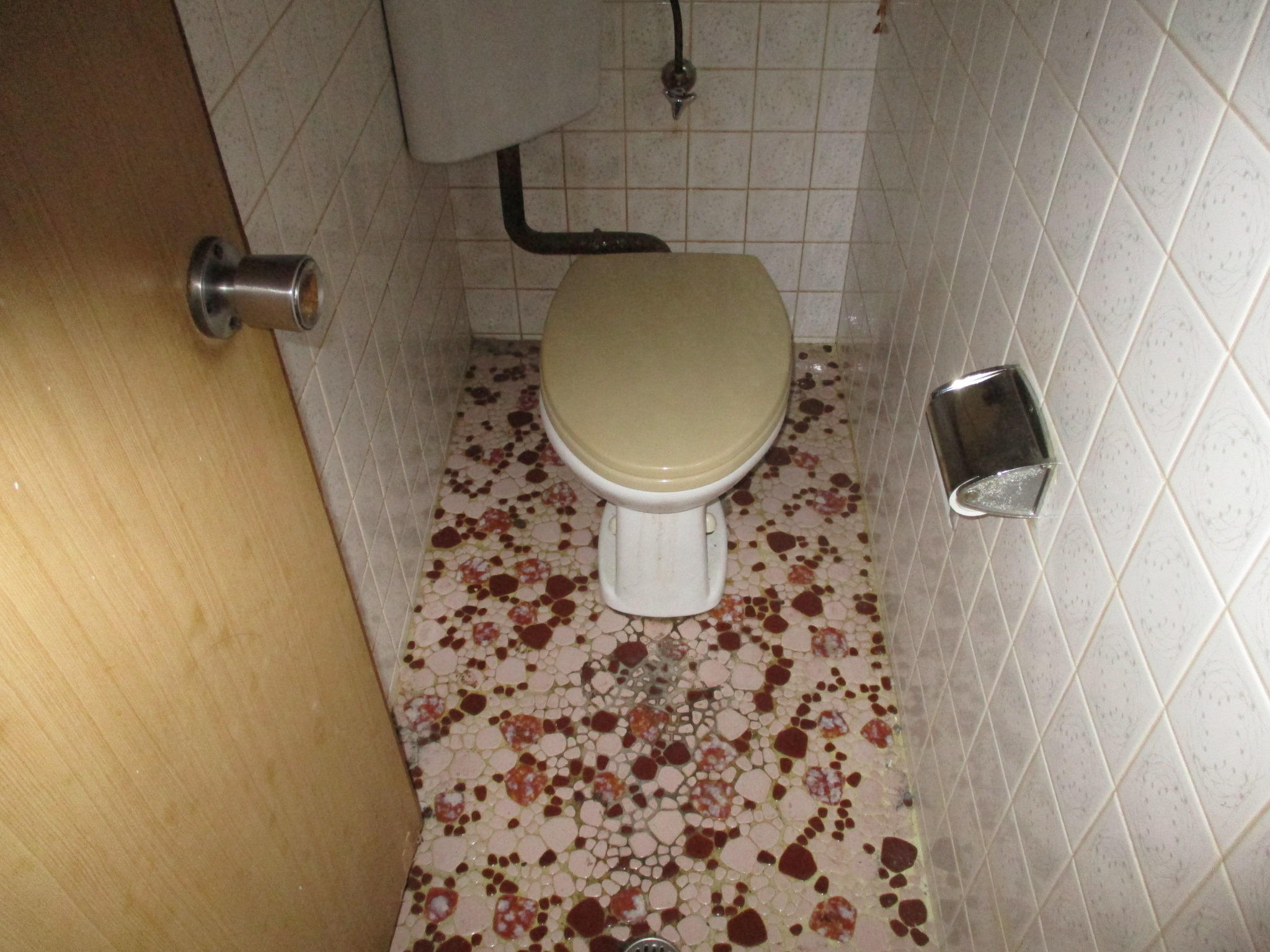 トイレ1.JPG