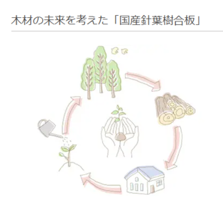 木材の未来を考えた「国産針葉樹合板」