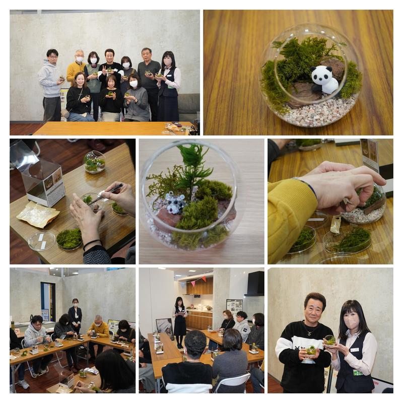 IMG00154-COLLAGE.jpg