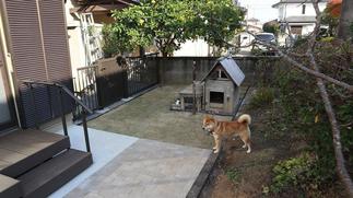 思い入れのある犬小屋はそのままに、芝生とインターできれいに整地。